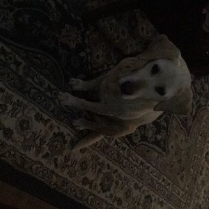 Meet your Posher, Kari